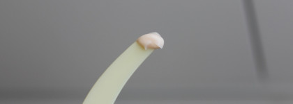 Biossance Squalane + Marine Algae Eye Cream - мой идеальный крем для век