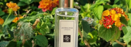 Jo Malone Blackberry & Bay Cologne