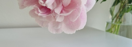 MishLav карандаш и тушь для бровей