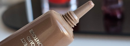 Shik Perfect Liquid Contour 01