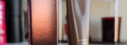 Shik Perfect Liquid Contour 01