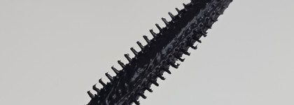 Influence Beauty Lash Scaf Mascara Water Resistant black