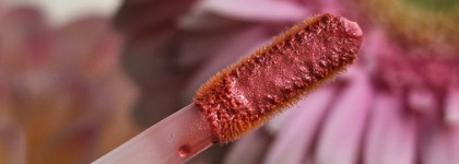 Блеск для губ Kiki Glossy в оттенке 208 Каштаново-розовый