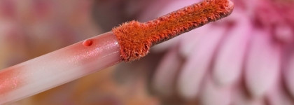 Блеск для губ Kiki Glossy в оттенке 208 Каштаново-розовый