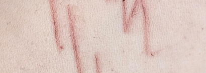 Limoni Velvet Matte Lipliner в оттенке 02