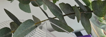 Limoni Color Waterproof Eyestyler в оттенках 03 и 06