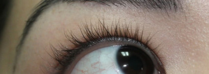 Maybelline The Rocket Volume Express vs. Benefit They're Real Beyond Mascara
