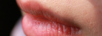 MAC matte lipstick в оттенке Please me