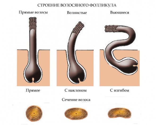 Спасение моих обесцвеченных, сухих, вьющихся, пористых волос от Kerastase