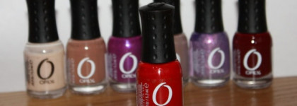 Красная смородина Orly 48634 Red Carpet