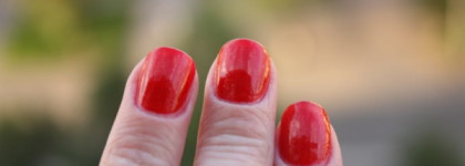 Красная смородина Orly 48634 Red Carpet