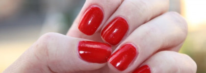 Красная смородина Orly 48634 Red Carpet