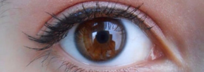 Maybelline Eye Studio Color Tatoo 24Hr Cream Gel Shadow в оттенке 65-Pink Gold