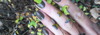 Моя осень с OPI Nail Laquer a-taupe the space needle