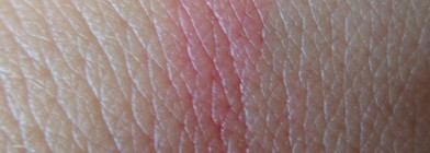 Сложились ли тандемы? Lancôme-Estee Lauder и Lancôme-Clarins