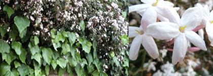 Монолог начинающей Фордоманки