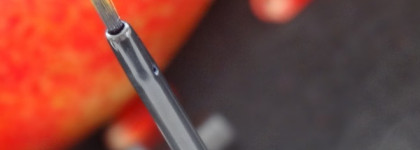 Запоздалая осень