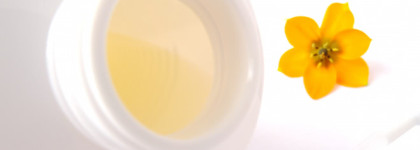 Начало начал. Очищение