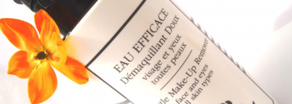 Начало начал. Очищение