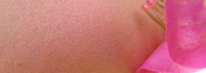 Знаменитый цветок Sisley. Румяна L'Orchidee Highlighter Blush with white lily