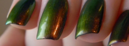 Необычный хамелеон - Dance Legend Chameleon Collection 092 Roz