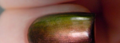 Необычный хамелеон - Dance Legend Chameleon Collection 092 Roz