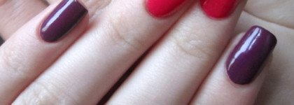 Двухцветный маникюр с Golden Rose