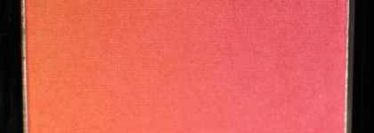 Essence Blush Up! Powder blush в оттенке 10 Heat Wave