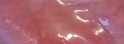 Средство для ухода за волосами всех типов Lakme k.therapy Bio argan Oil