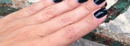 Осень. Холодная вода. Chanel Le Vernis Nail Colour # 679 Vert Obscur