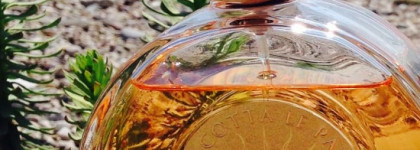 Этим летом в моей косметичке