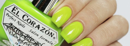 El Corazon коллекция Jelly Neon
