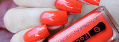 Vipera - Focus On 913