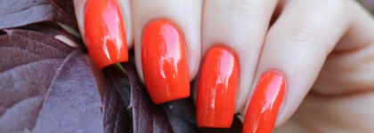 Vipera - Focus On 913