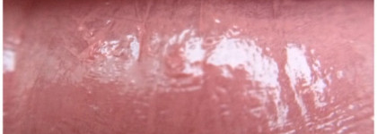 Уроки дрессировки от Estee Lauder Pure Color Envy Sculpting Lipstick # 120 Desirable