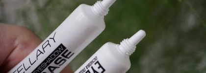 Двое из ларца, одинаковых с лица. База под тени - Divage vs. Stellary