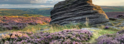 Maria Candida Gentile - Barry Lyndon. Прогулка по вересковой пустоши