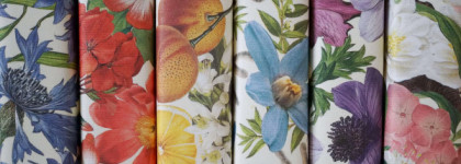 Пенная нега. Ода мылу Nesti Dante