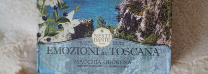 Пенная нега. Ода мылу Nesti Dante