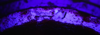 Скраб для тела Natura Siberica Tuva Витаминный Bear Berry (Медвежья ягода)