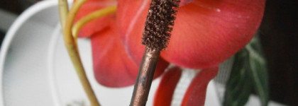 Тушь для ресниц "Ff" серии "Ffleur" Magic Черная магия в оттенке Pearl Brown