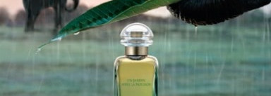 Un Jardin Apres la Mousson от Hermes