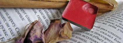 Совершенный красный. Inglot Freedom System Lipstick в оттенке №507