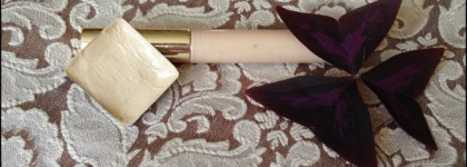 Битва консилеров