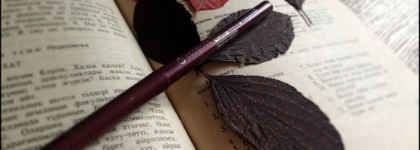 Тот самый цвет. Long Lasting Eye Pencil by Essence в оттенке Berry Merry №18