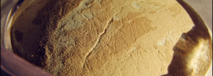 Pupa Luminys Silky Baked Face Powder / 01