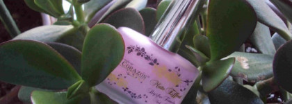 Нежный матовый красавец - лак для ногтей Matte Effect EL Corazon в оттенке 118