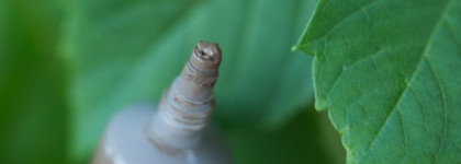 Гель для бровей Nyx Eyebrow Gel в оттенке EBG 03 brunette