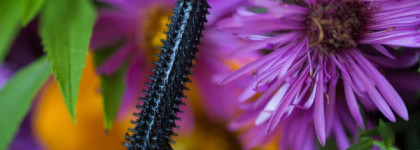 Тушь для ресниц Guerlain Cils D'Enfer So Volume 01 Noir