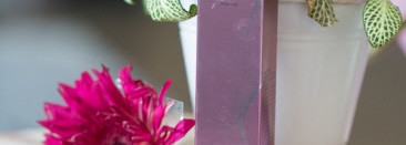 Крем для век The Skin House Galactomyces Eye Cream